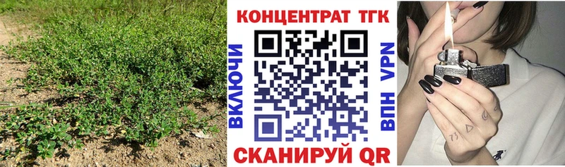 как найти закладки  Белгород  маркетплейс состав  ТГК вейп с тгк 